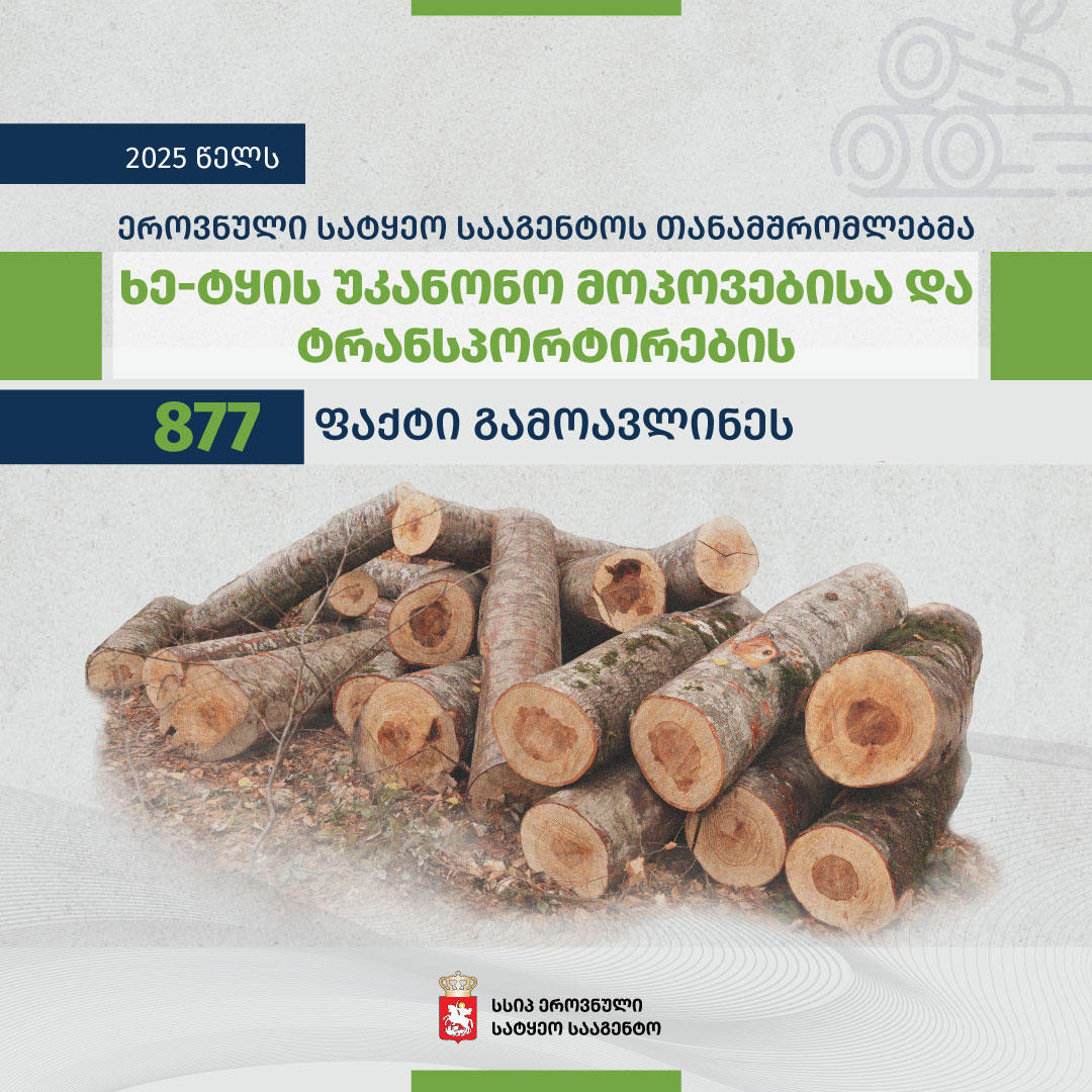 2025 წელს ხე-ტყის უკანონო მოპოვებისა და ტრანსპორტირების 773 და სახელმწიფო ტყის ფონდის თვითნებურად დაკავების 101 ფაქტი გამოვლინდა