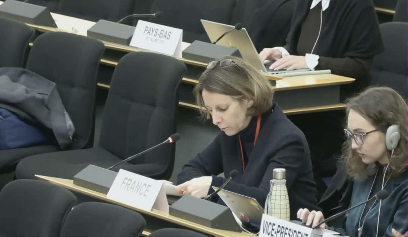 კლერ ტუოდე ჟენევაში საქართველოს ანგარიშის განხილვაზე - გაათავისუფლეთ პოლიტიკური მიზეზებით დაკავებული ყველა პირი