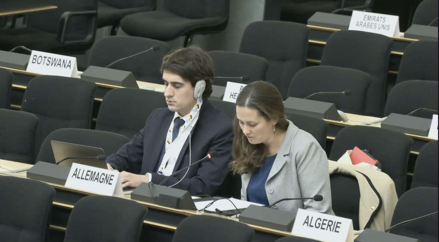 მარი რამბახი - ჩვენი რეკომენდაციაა, საქართველომ დემონსტრანტების წინააღმდეგ ძალის გადამეტების შემთხვევები გამოიძიოს, დაზარალებულებისთვის სამართლიანობა, კომპენსაცია და რეაბილიტაცია უზრუნველყოს