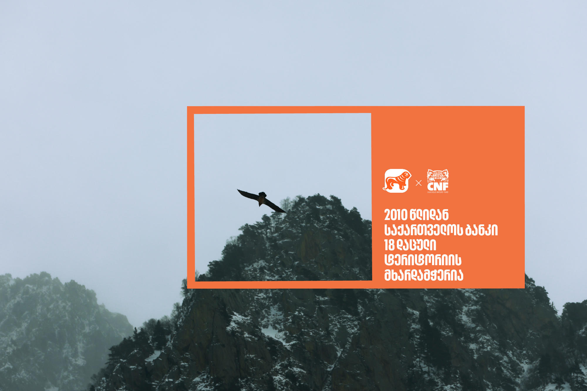 „საქართველოს ბანკი“ 2010 წლიდან 18 დაცული ტერიტორიის მხარდამჭერია