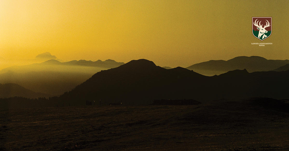ფირის ფოტოგრაფია „საირმეს რეკრეაციულ ფერმაში“ - რეზი ყენიას ფოტოამბავი