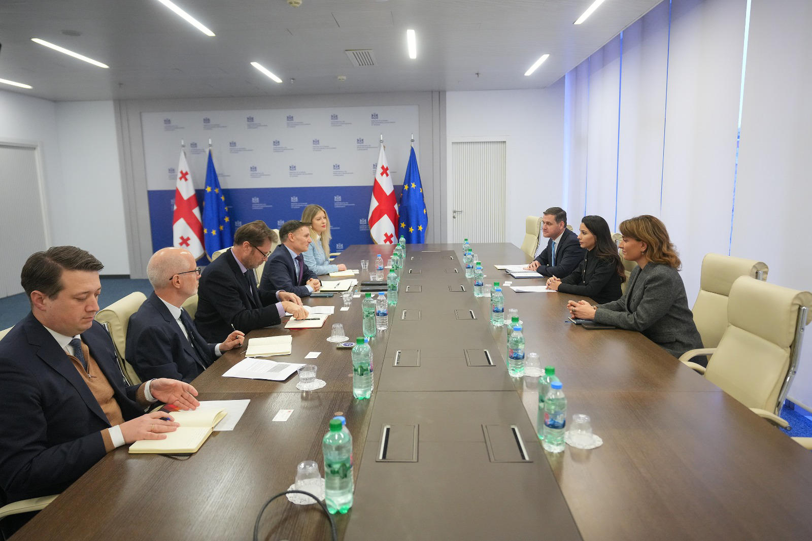 მარიამ ქვრივიშვილმა გაერო-ს მუდმივ კოორდინატორთან ეკონომიკური თანამშრომლობის მიმართულებები განიხილა