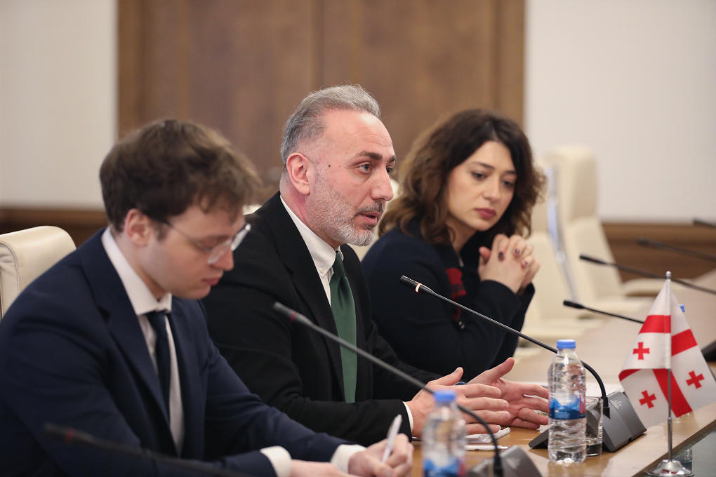 „გახარია საქართველოსთვის" ამერიკის კონგრესის დელეგაციასთან შეხვედრის შესახებ ინფორმაციას ავრცელებს