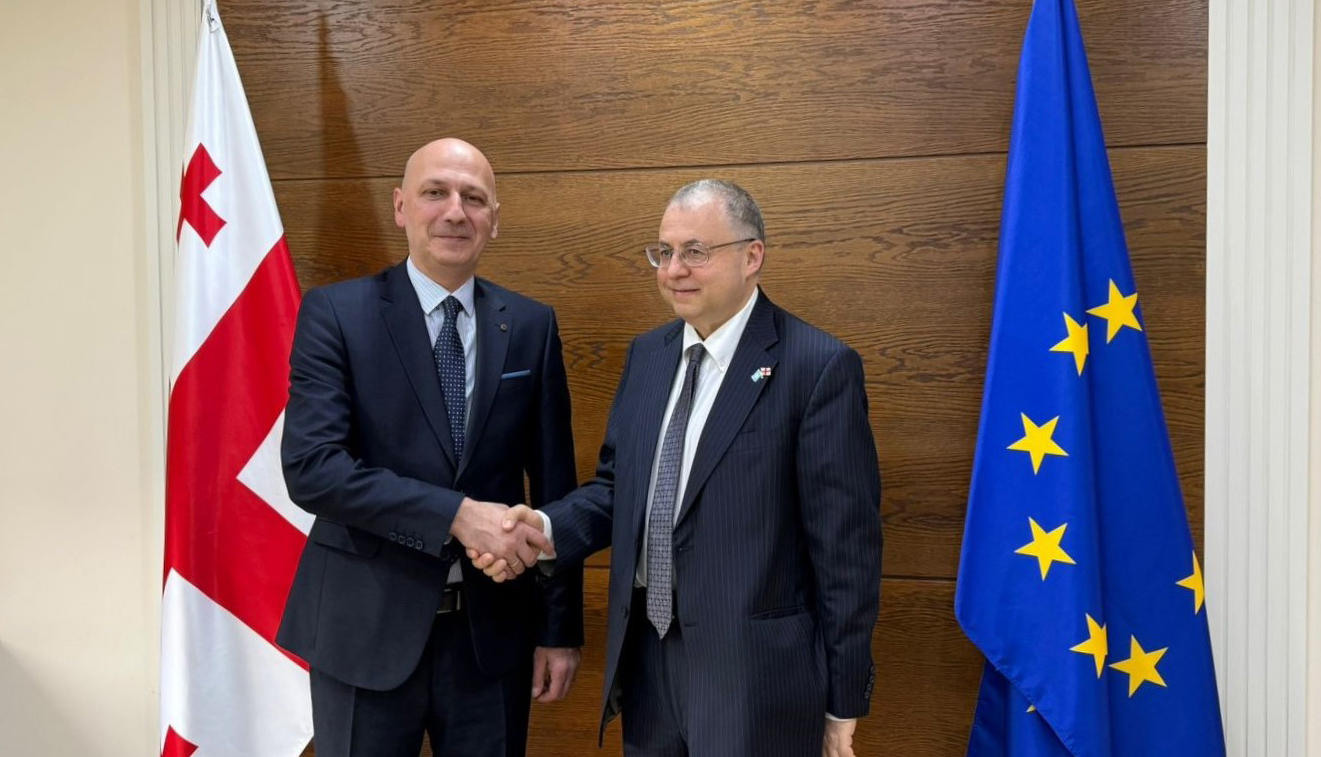 ზაზა ვაშაყმაძე გაეროს ადამიანის უფლებათა უმაღლესი კომისრის ოფისის უფროს მრჩეველს შეხვდა