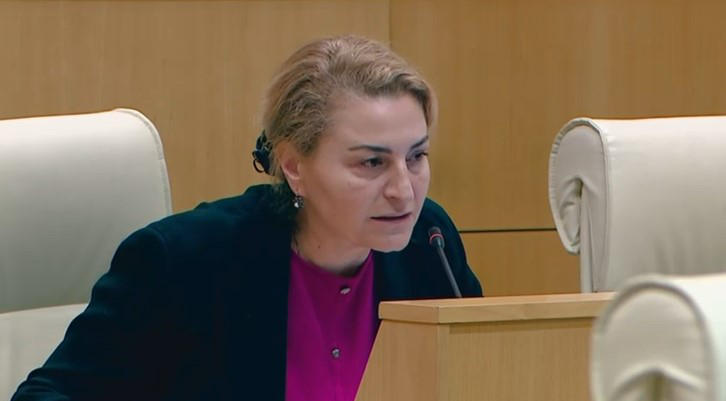 სოფიო ხორგუანი უმრავლესობას - 2012 წელს რომ ემოქმედა კანონს, რაც დღეს შემოგაქვთ, “ქართული ოცნება“ ხელისუფლებაში ვერ მოვიდოდა და ვერც ივანიშვილი, როგორც საფრანგეთის მოქალაქე, პრემიერ-მინისტრი ვერ გახდებოდა