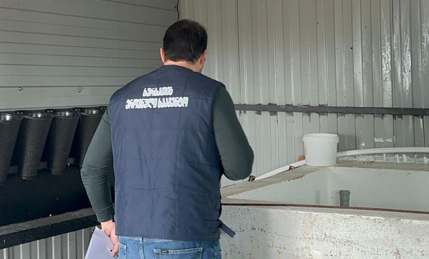 სურსათის ეროვნული სააგენტო - შიდა ქართლში არალეგალური სასაკლაოები და კვერცხის საწარმო გამოვლინდა