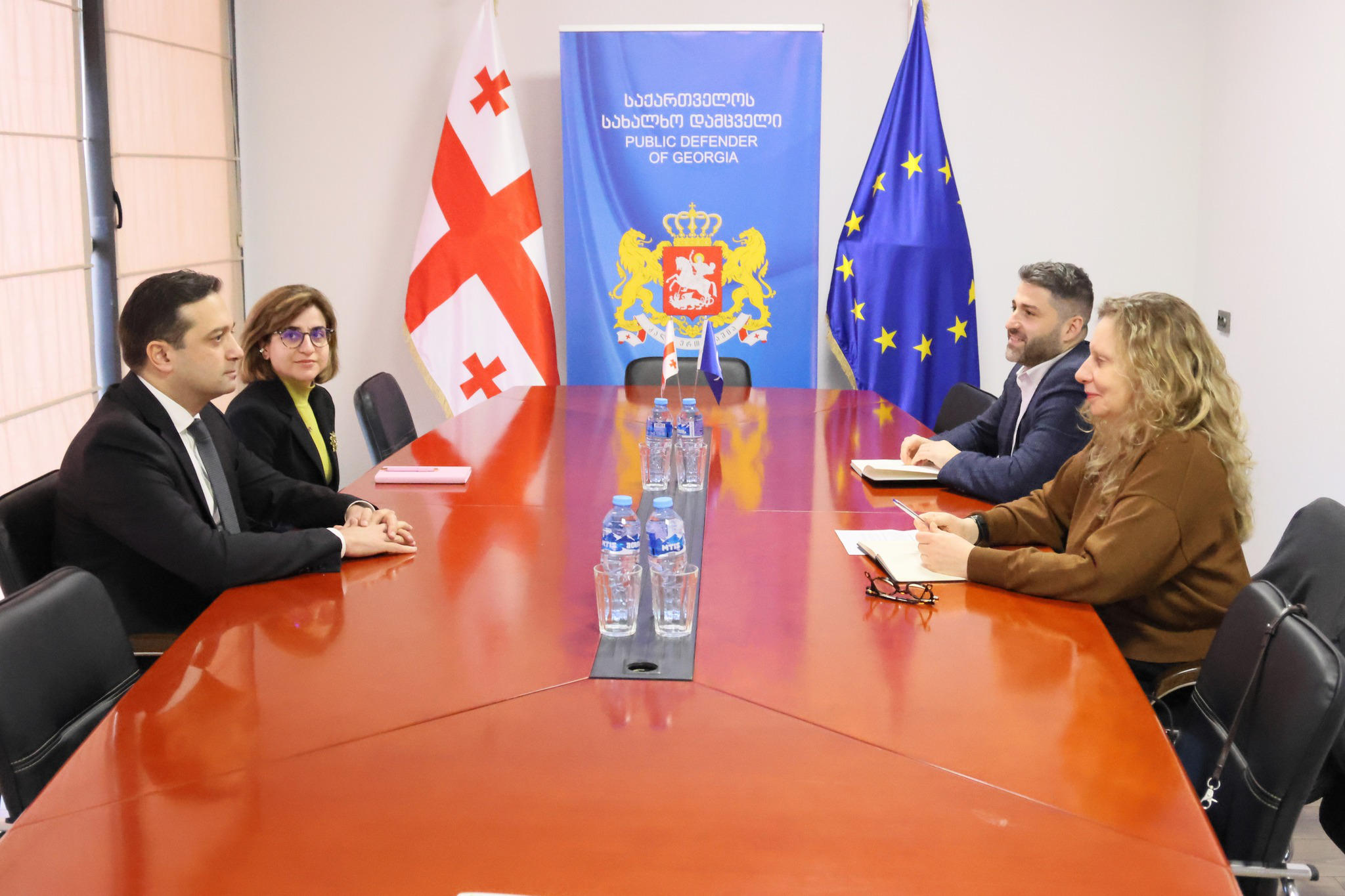 სახალხო დამცველი ევროპის საბჭოს საქართველოს ოფისის ხელმძღვანელს შეხვდა