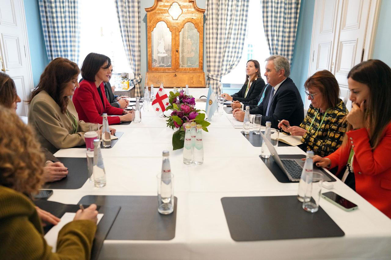 Maka Botchorishvili meets with Minister of Foreign Affairs of Argentina