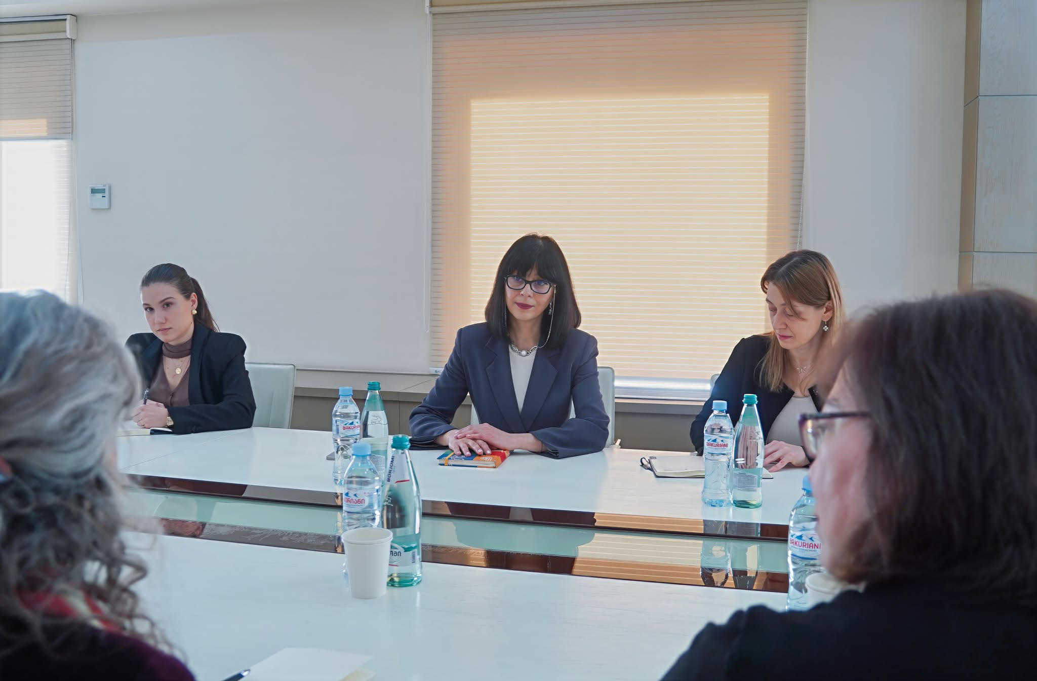 თეა ახვლედიანმა ჟენევის საერთაშორისო მოლაპარაკებების თანათავმჯდომარეებთან შეხვედრა გამართა