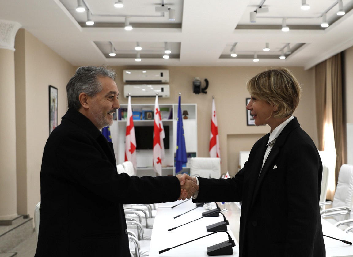 ნინო წილოსანი ისრაელის ელჩს შეხვდა