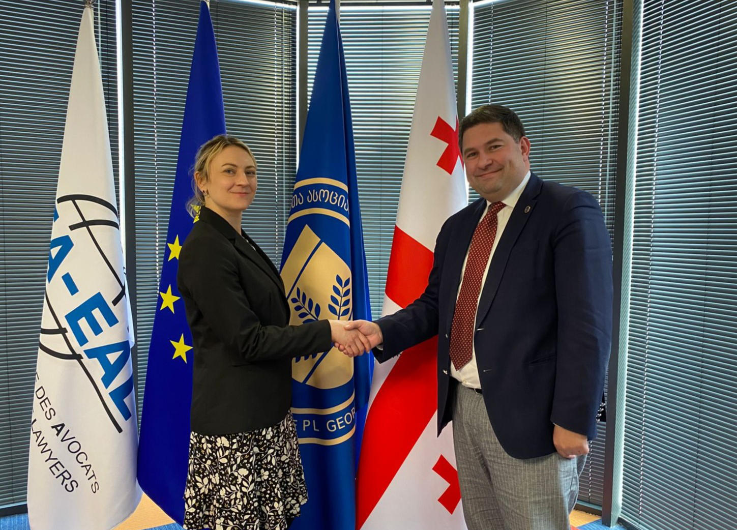 ადვოკატთა ასოციაციის თავმჯდომარე დიდი ბრიტანეთის ელჩის პოლიტიკურ მრჩეველს შეხვდა