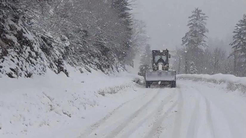 საავტომობილო გზების გარკვეულ მონაკვეთებზე ავტოტრანსპორტის მოძრაობა აღდგა