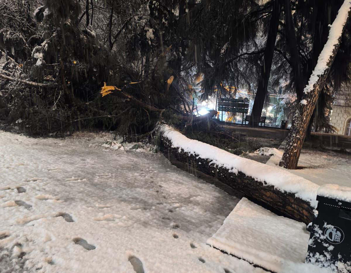 თბილისის მერია - უხვმა ნალექმა თბილისში პრობლემები გამოიწვია - დაზიანებულია ქალაქის ინფრასტრუქტურა, წაქცეულია ელექტროგადამცემი ანძები, დაფიქსირდა ტოტების მტვრევის და ხეების წაქცევის ფაქტები