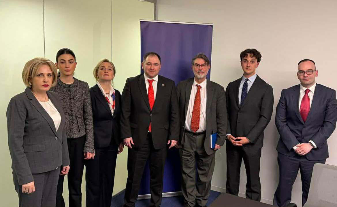 საქართველოს საპარლამენტო დელეგაცია ანალიტიკური ცენტრის „ქუინსი ინსტიტუტის" დირექტორს შეხვდა