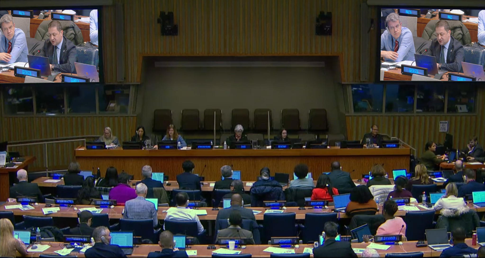 გოგიტა თოდრაძე გაეროს სტატისტიკის კომისიის 57-ე სესიაში მონაწილეობს