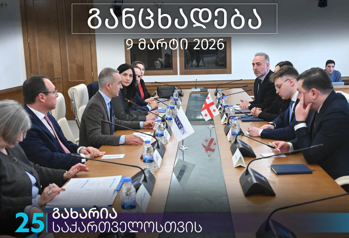 პარტიის „გახარია საქართველოსთვის“ დეპუტატებმა ეუთოს საპარლამენტო ასამბლეის დელეგაციას პარტიის პოზიცია პარლამენტში გააცნეს