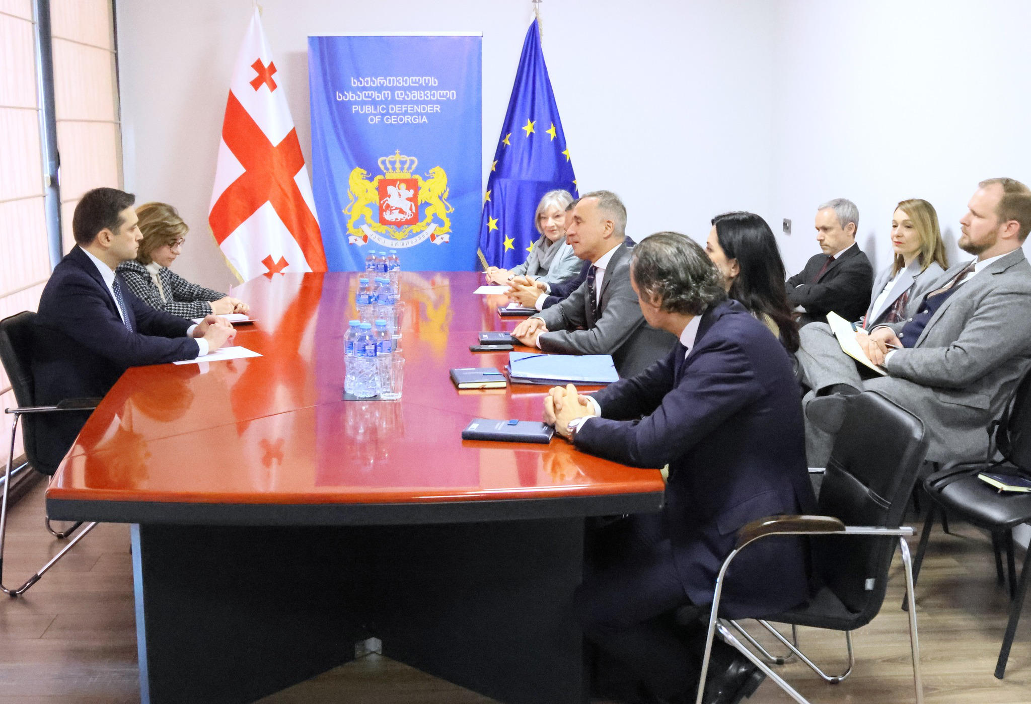 სახალხო დამცველი ეუთო-ს საპარლამენტო ასამბლეის პრეზიდენტს შეხვდა
