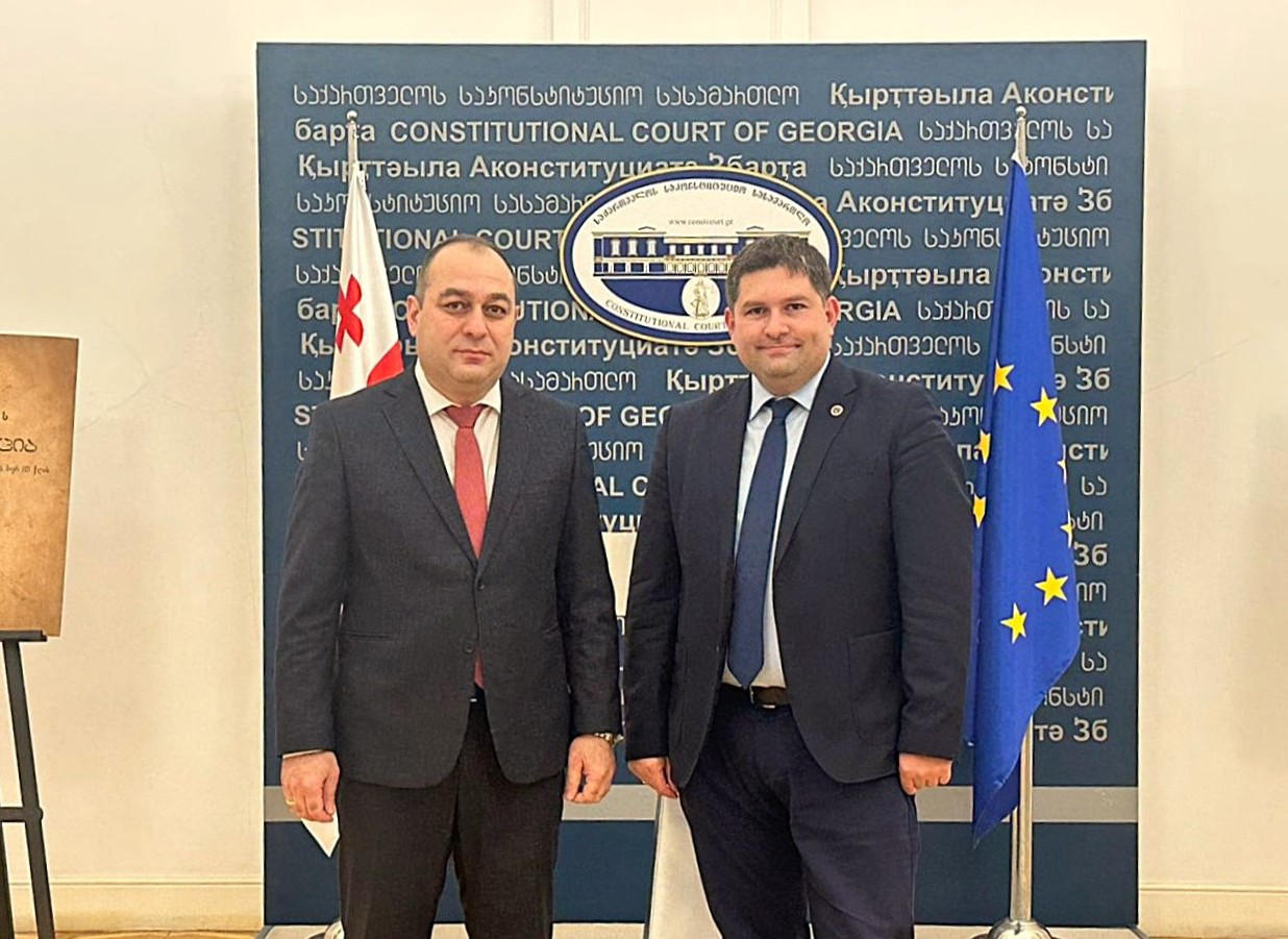 ადვოკატთა ასოციაციის თავმჯდომარე საკონსტიტუციო სასამართლოს თავმჯდომარეს შეხვდა