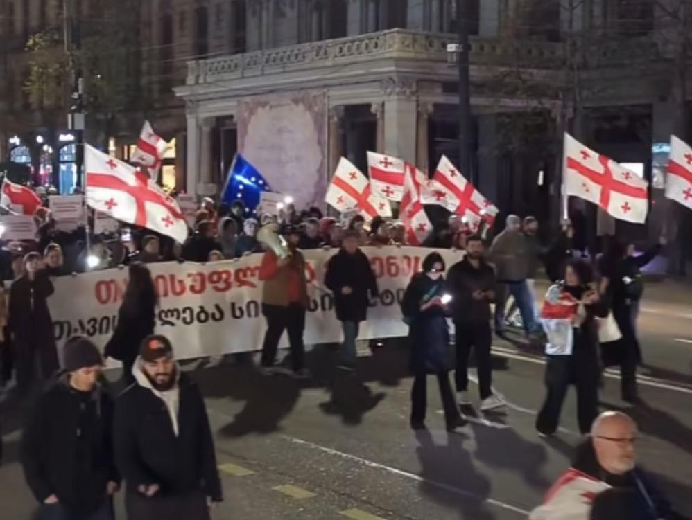 ლოზუნგით - ,,თავისუფლება ელენეს და სინდისის პატიმრებს” ფილარმონიიდან პარლამენტამდე საპროტესტო მარში მოეწყო