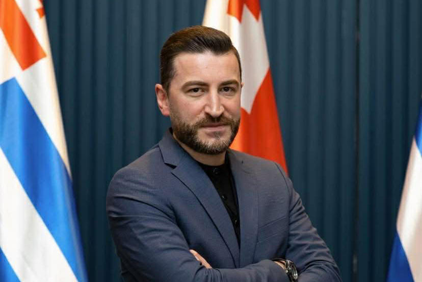 „გახარია - საქართველოსთვის“ წევრი - ჩემი დაკვირვებით, ოპონენტებისა და პოლიტიკურ პროცესებთან მიმართებაში რადიკალიზმის ხარისხი დაუწუნეს დავით გაბაიძეს და სწორედ ეს უნდა იყოს ერთ-ერთი მიზეზი თანამდებობის დატოვების