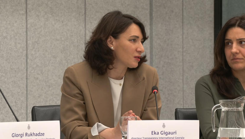 ეკა გიგაური ნიდერლანდების პარლამენტში - საქართველოს მხარდაჭერა ნიშნავს საერთაშორისო სამართლის ინსტრუმენტების გამოყენებას - არ გთხოვთ, ჩვენ ნაცვლად იბრძოლოთ, მაგრამ მხარდაჭერა განსაზღვრავს, მიგვიყვანს თუ არა ბრძოლა დემოკრატიულ მომავლამდე