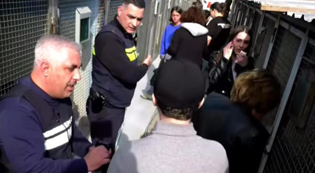 თბილისში, მიუსაფარ ძაღლთა თავშესაფართან ხმაური იყო