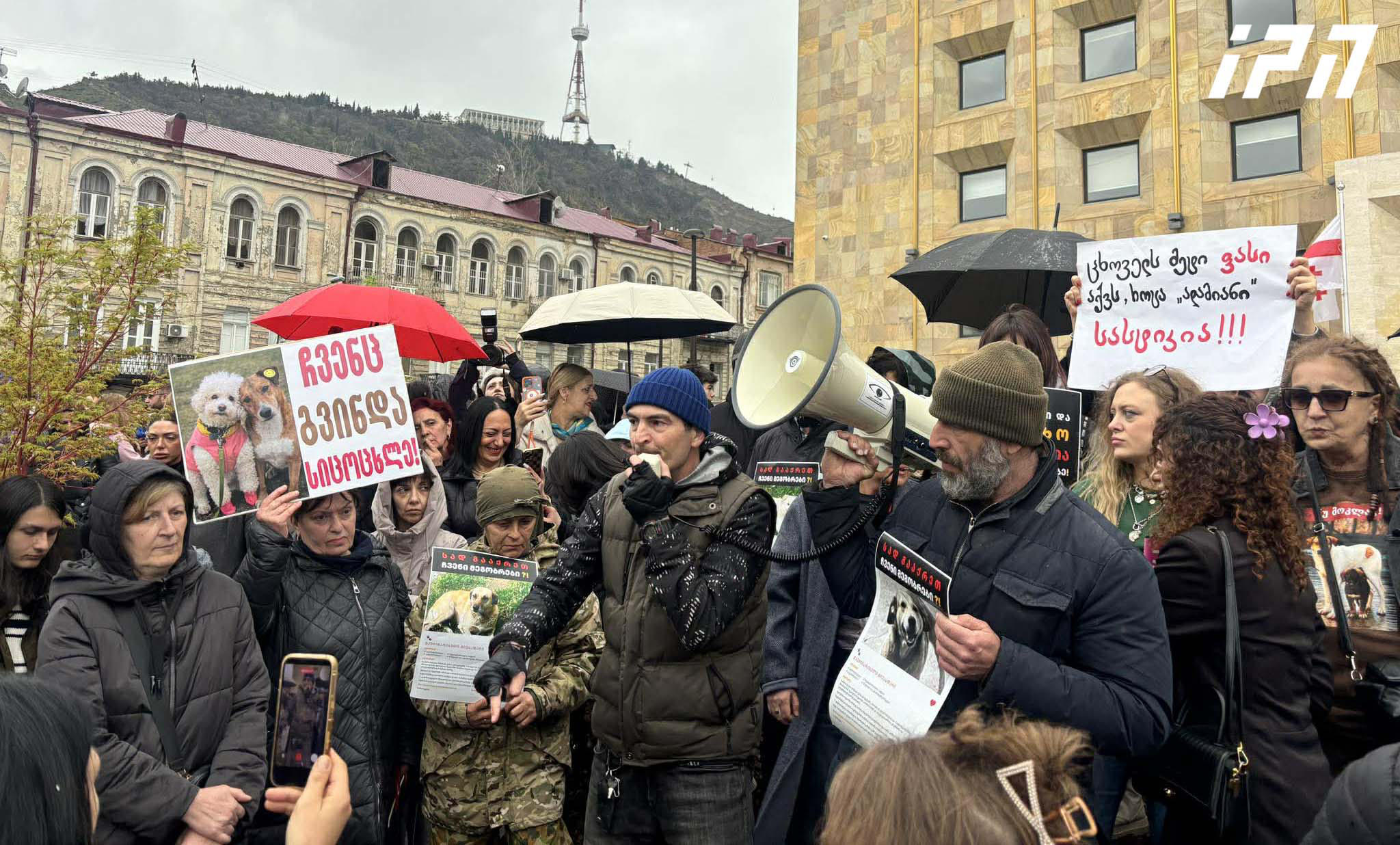 მთავრობის ადმინისტრაციასთან ცხოველების უფლებების დამცველები აქციას მართავენ