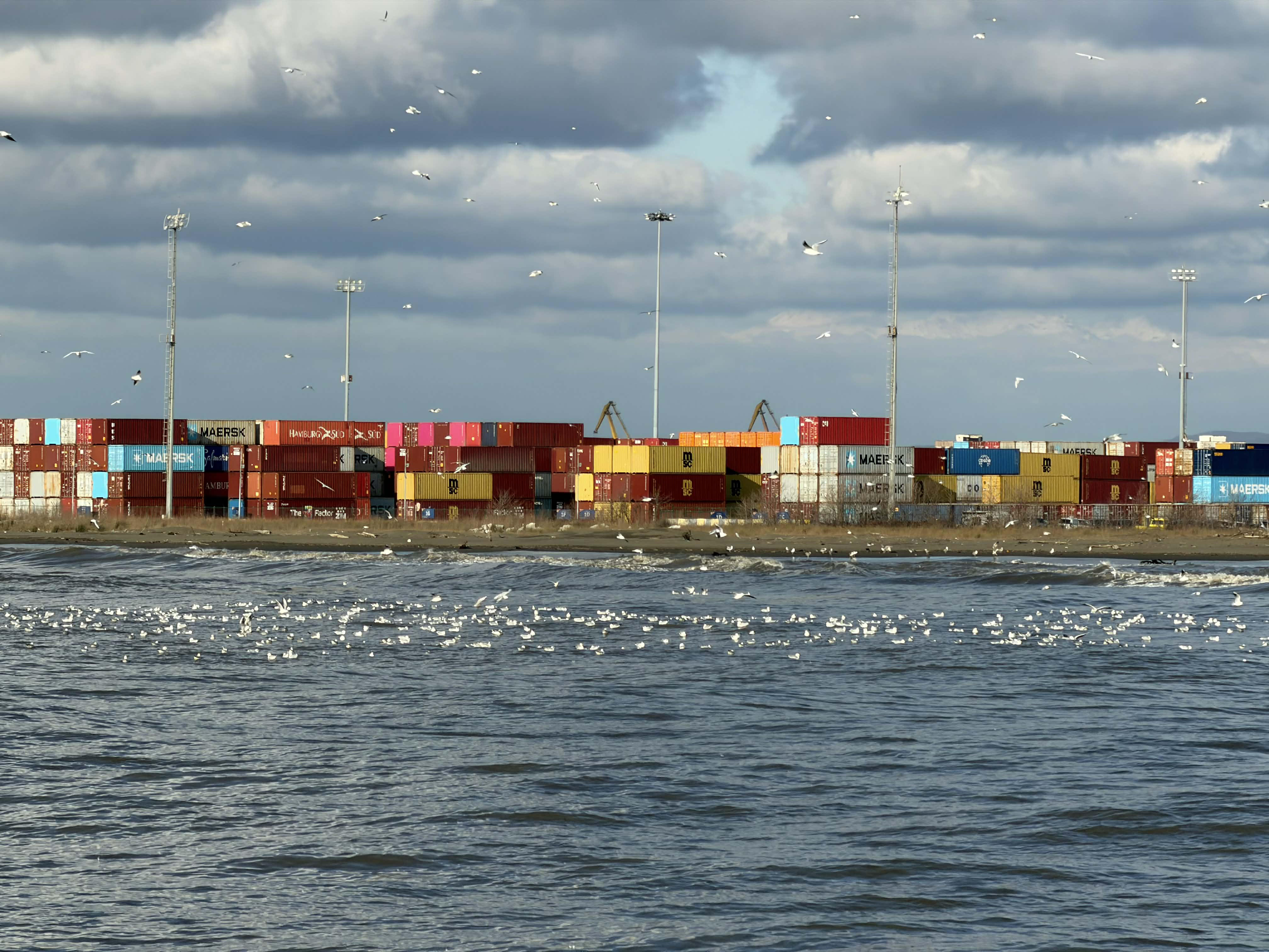 „ეიპიემ ტერმინალს ფოთი“ - 2026 წლის პირველ კვარტალში, ფოთის პორტში ტვირთის დამუშავების მაჩვენებელი, გასული წლების ანალოგიურ პერიოდთან შედარებით, გაიზარდა