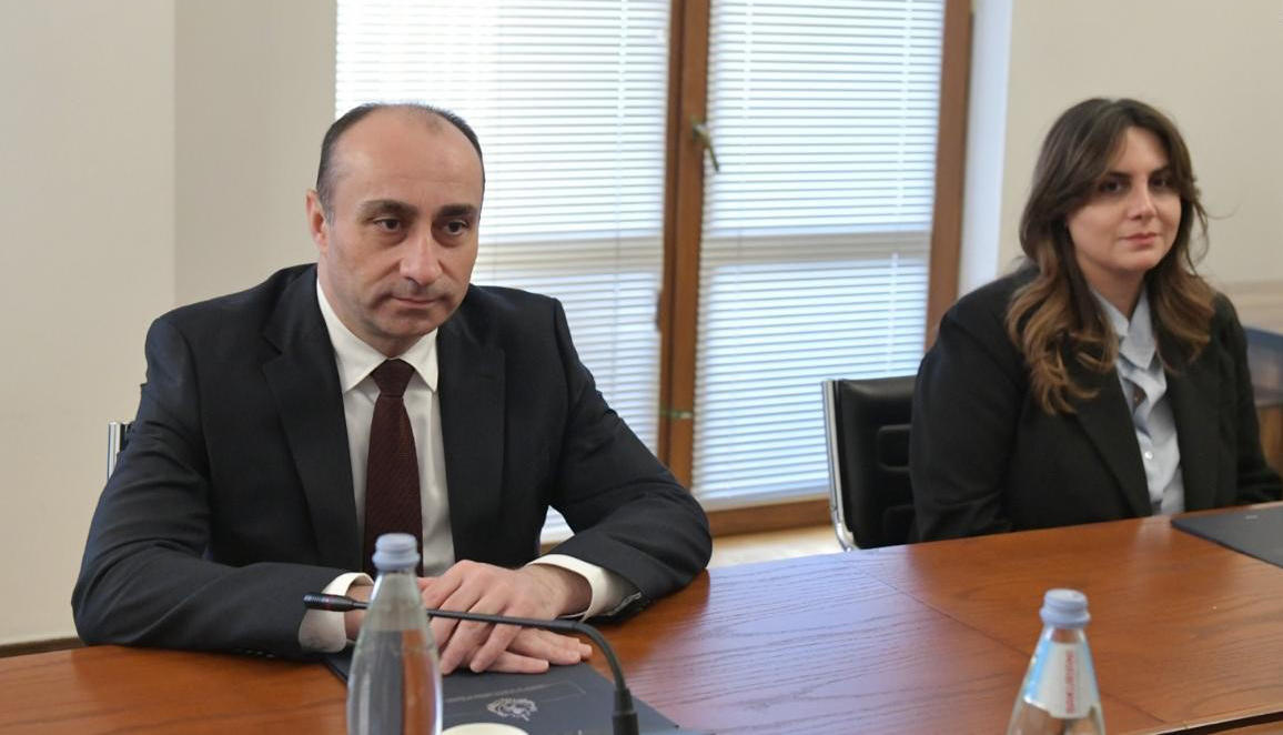 ნდობის ჯგუფის ფარგლებში, შინაგან საქმეთა მინისტრს მოუსმინეს