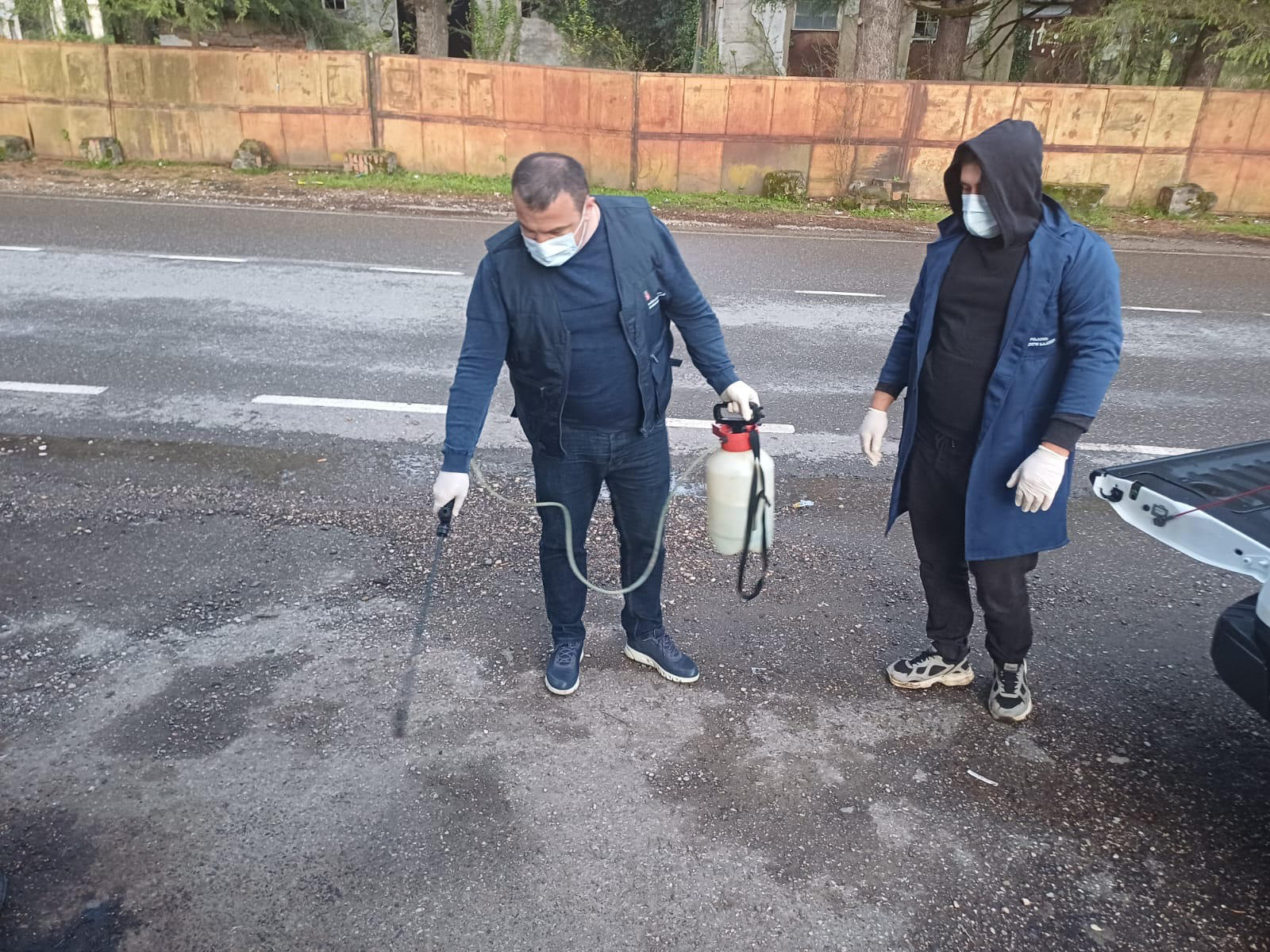 სურსათის ეროვნული სააგენტო - სოფელ ბანძაში ცოფის სალიკვიდაციო ღონისძიებები მიმდინარეობს