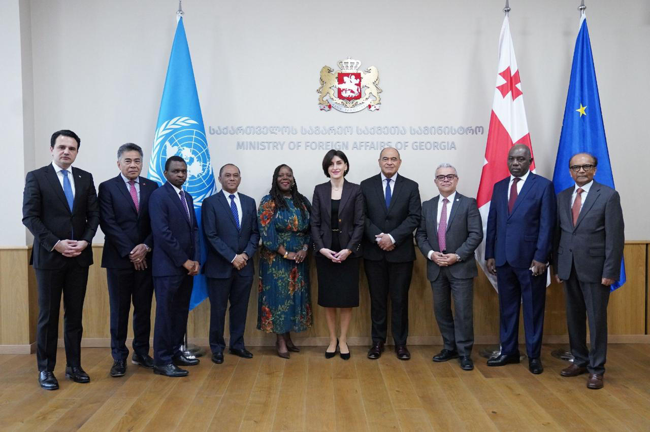 მაკა ბოჭორიშვილი გაეროსთან აკრედიტებულ ელჩებს შეხვდა