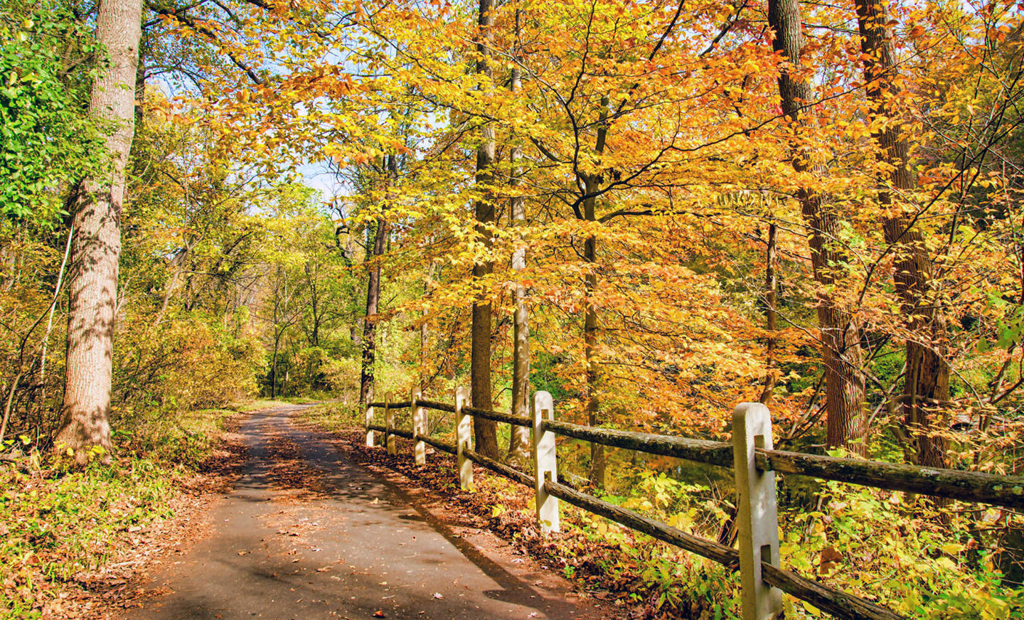 დიღმის ჭალების პარკის მოწყობის რეპროექტირება და ხარჯთაღრიცხვის კორექტირება მოხდება - ასევე, პარკს დაემატება კიდევ ერთი დამაკავშირებელი გზა, ჩიტებზე დაკვირვების პლატფორმები, ველო-პარკინგი, საჩრდილობლები და პავილიონები