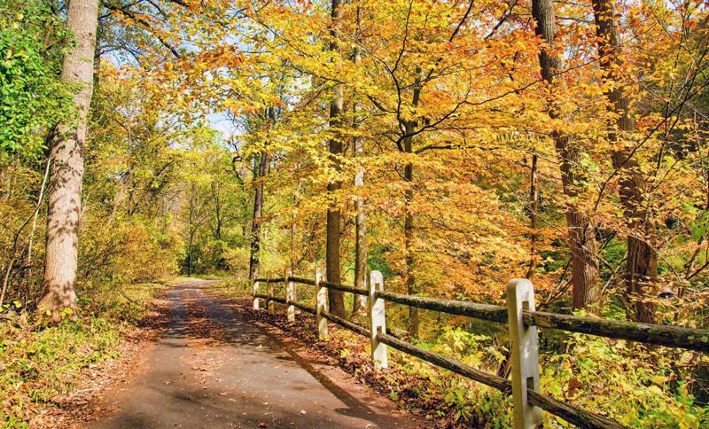 The Digomi Meadows Park development project will be redesigned and the cost estimate will be adjusted; additionally, the park will gain another connecting path, birdwatching platforms, bicycle parking, shaded areas, and pavilions
