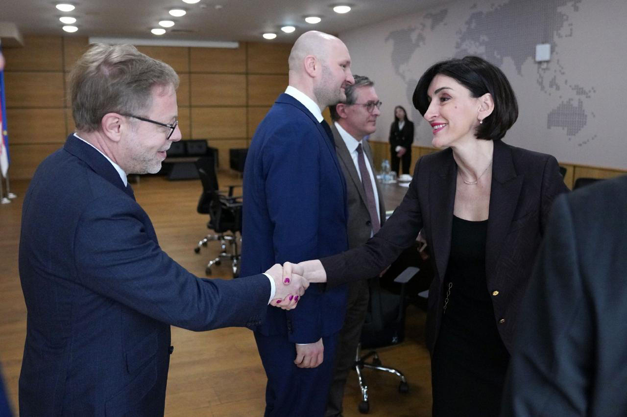 მაკა ბოჭორიშვილი „ვაიმარის სამკუთხედის“ საგარეო უწყებების წარმომადგენლებს შეხვდა