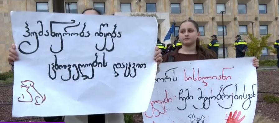 მთავრობის ადმინისტრაციასთან ცხოველთა დამცველებმა საპროტესტო აქცია გამართეს