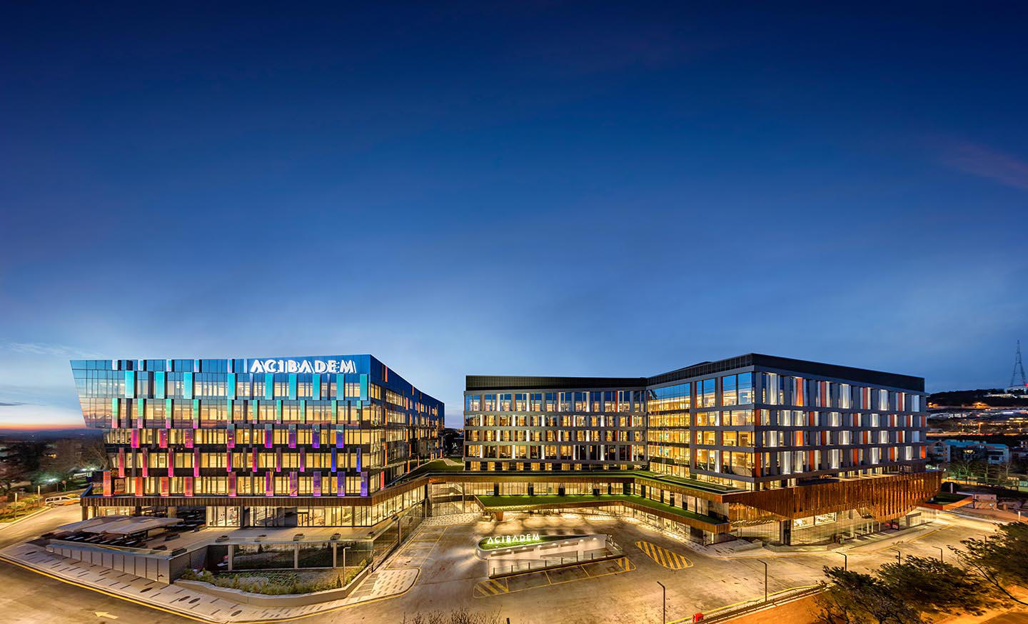 Acıbadem-ის გლობალური სამეცნიერო ძალა: სამი წამყვანი ექიმი მსოფლიოს ყველაზე გავლენიან მეცნიერთა შორის