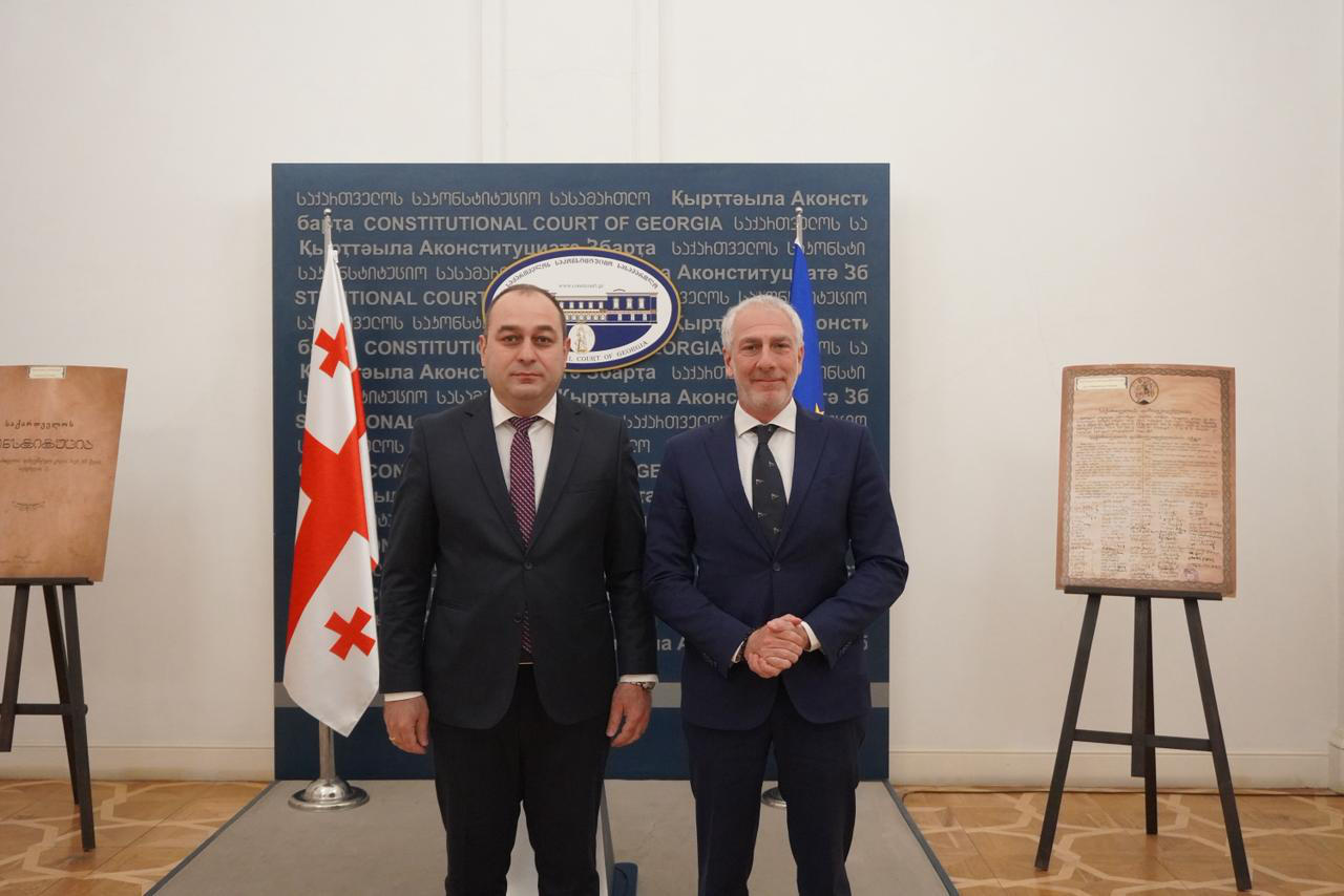 საქართველოს საკონსტიტუციო სასამართლოს იტალიის ელჩი ეწვია