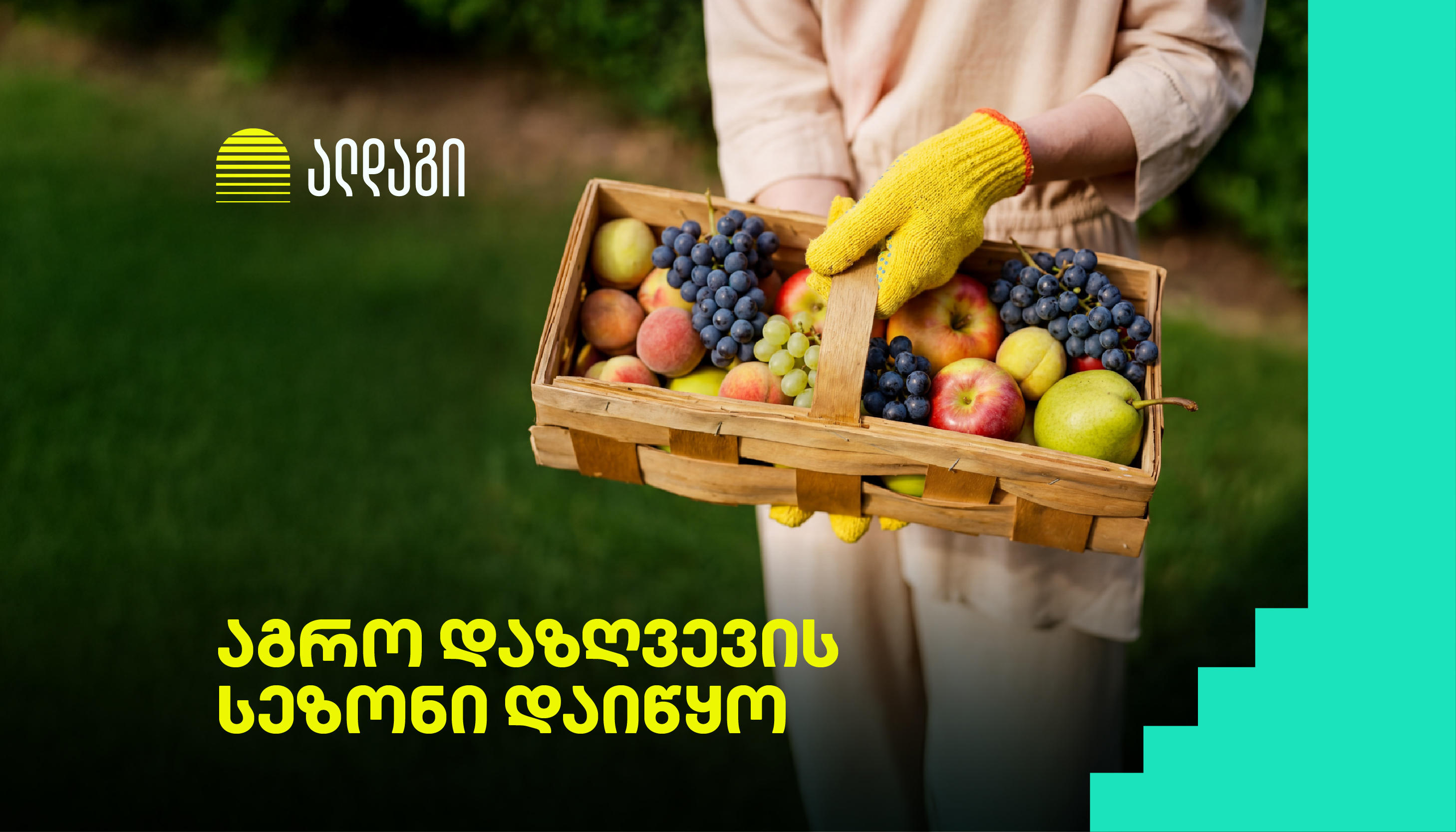 „ალდაგი“ - აგრო დაზღვევა „ალდაგში“ ყველაზე სწრაფი ანაზღაურებით