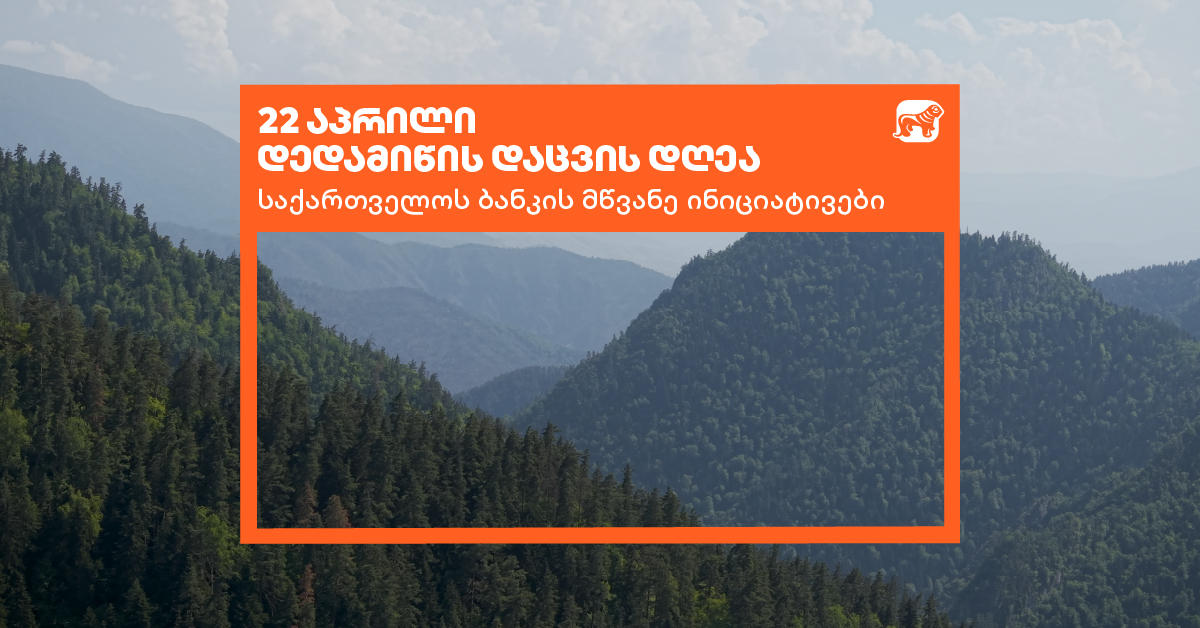 „საქართველოს ბანკი“ დედამიწის დღეს მწვანე ინიციატივებს აჯამებს
