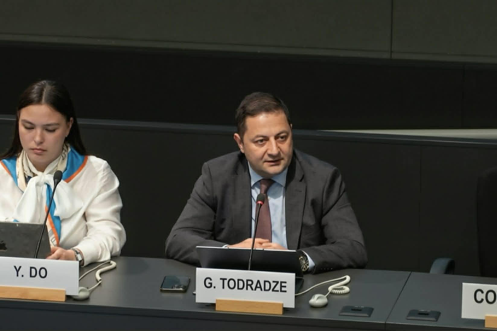 გოგიტა თოდრაძე ჟენევის რეგიონულ ფორუმზე ციფრული ტრანსფორმაციის პანელში მონაწილეობს