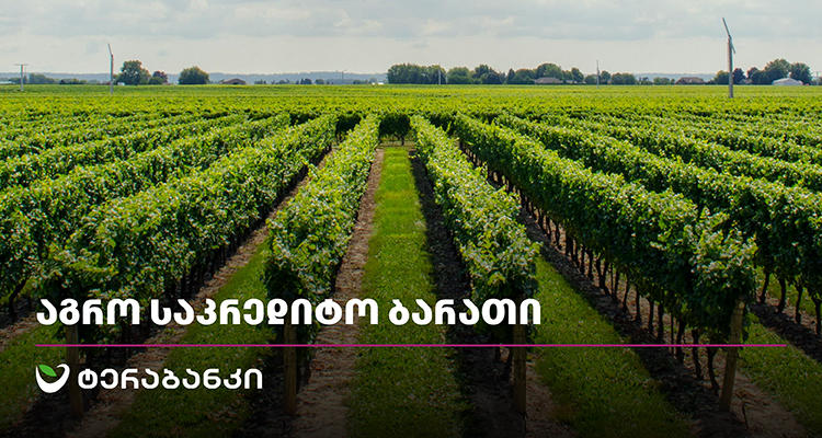 ტერაბანკის საკრედიტო ბარათი აგრო ბიზნესისთვის