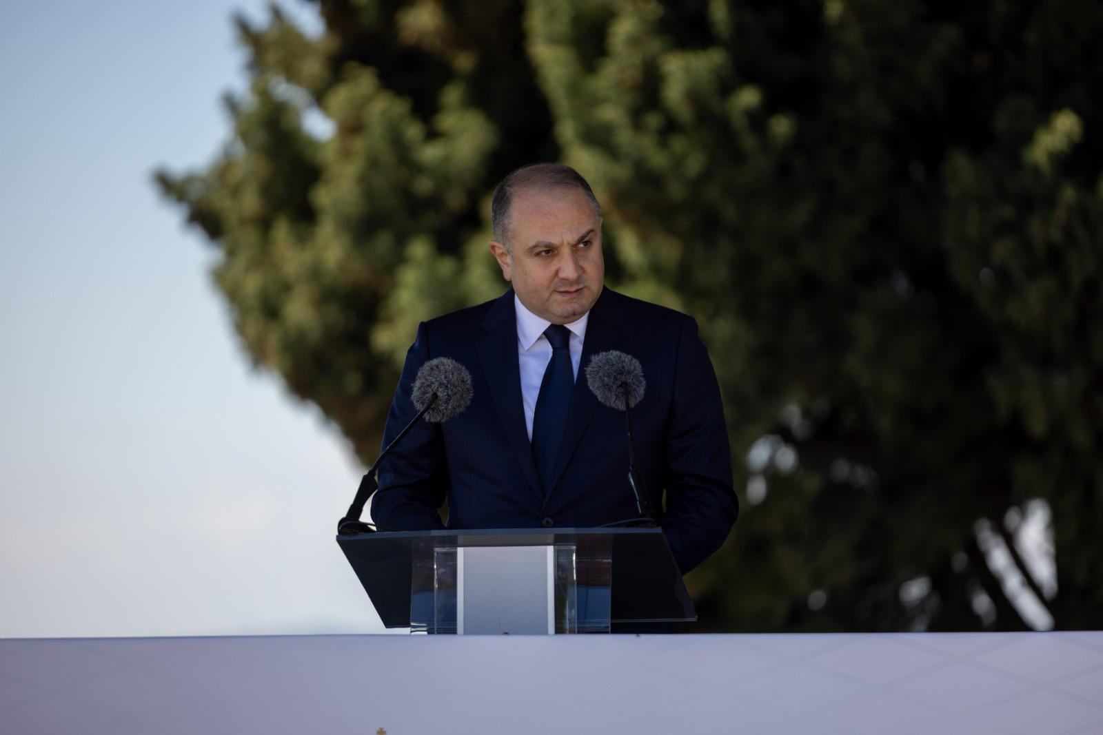 ირაკლი ჩიქოვანი - თავდაცვის ძალების დღეს განსაკუთრებით ვულოცავ ჩვენს მომავალს - იუნკრებს, კადეტებს, წვევამდელებს, რომლებიც ქართულ ჯარს კიდევ უფრო აძლიერებენ