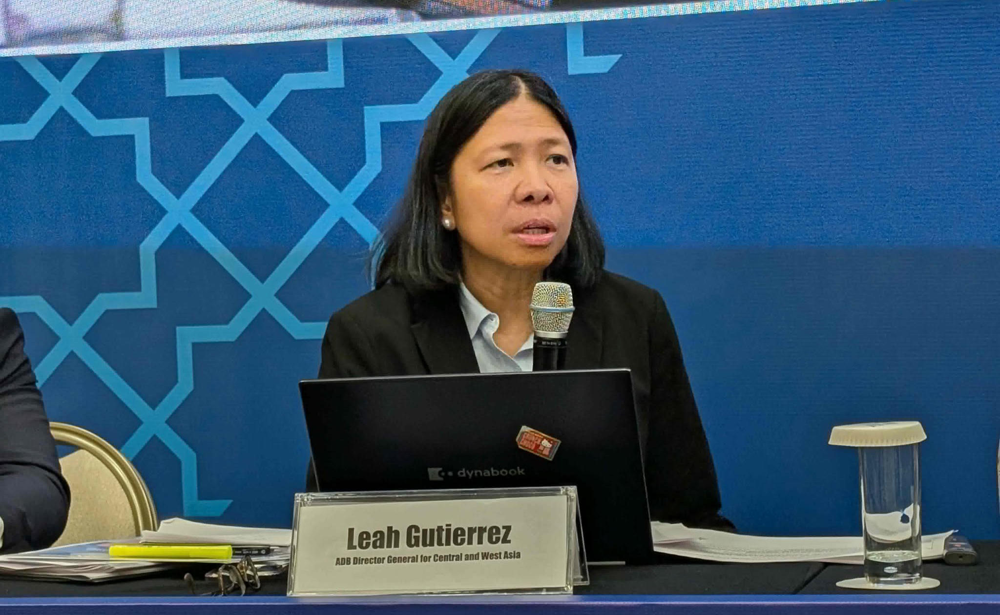 Leah Gutierrez: The impact of the Middle East conflict in Georgia will be reflected in prices - the conflict may also affect investment and tourism