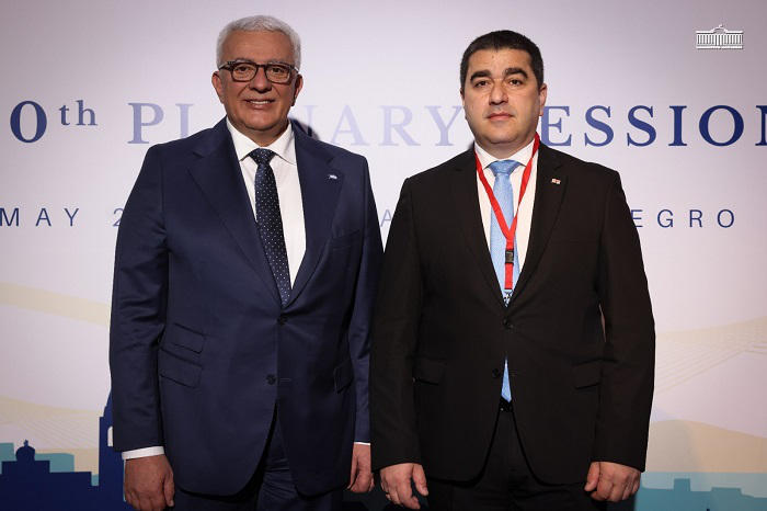 შალვა პაპუაშვილი მონტენეგროს პარლამენტის პრეზიდენტს შეხვდა