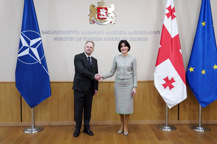 მაკა ბოჭორიშვილი კავკასიასა და ცენტრალურ აზიაში ნატო-ს გენერალური მდივნის სპეციალურ წარმომადგენელს შეხვდა
