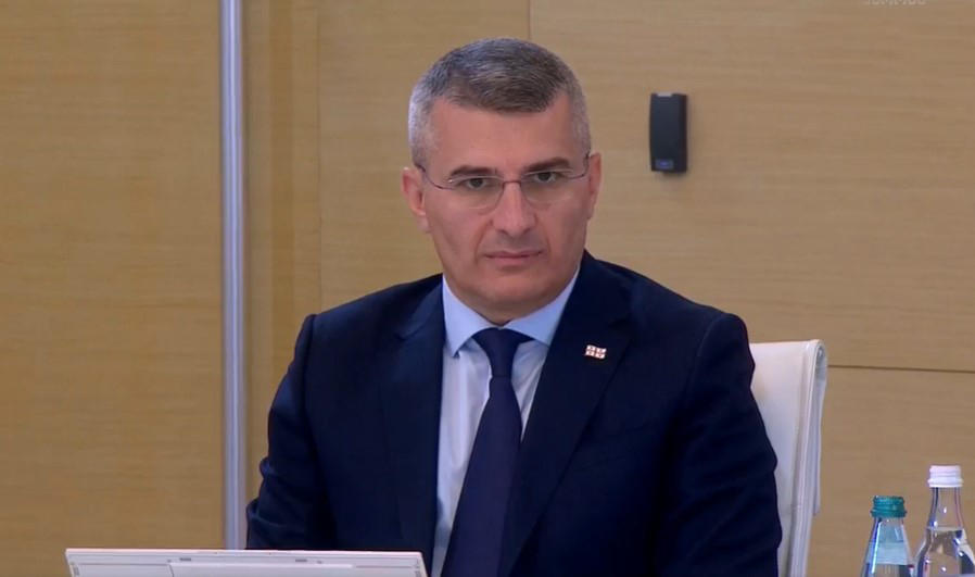 მამუკა მდინარაძე და სულხან თამაზაშვილი მთავრობის სხდომას პირველად ესწრებიან