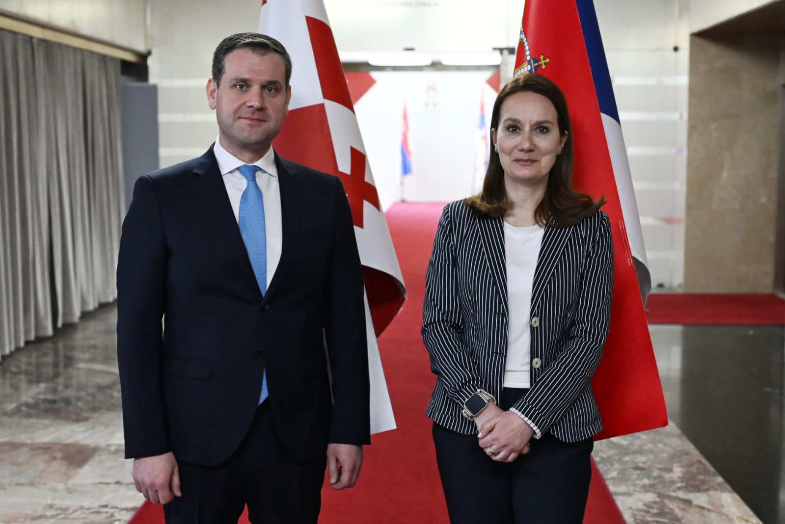 ეკონომიკის მინისტრის მოადგილე - ჩვენი მოლოდინია, რომ თავისუფალი ვაჭრობის შესახებ მოლაპარაკებები სერბეთის მხარესთან მიმდინარე წლის სამ კვარტალში წარმატებით დასრულდება