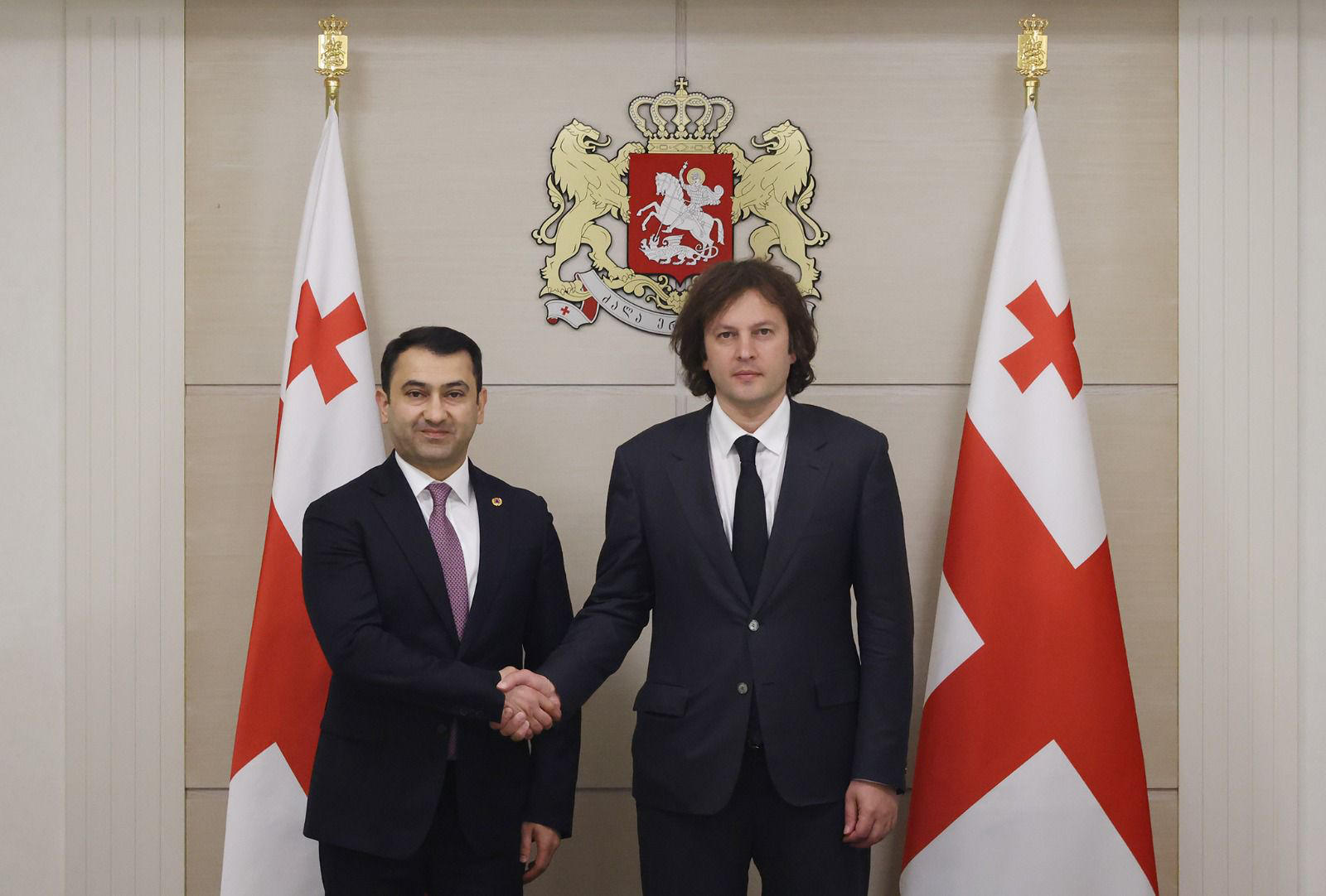 ირაკლი კობახიძე სამოქალაქო თავდაცვის საერთაშორისო ორგანიზაციის გენერალურ მდივანს შეხვდა
