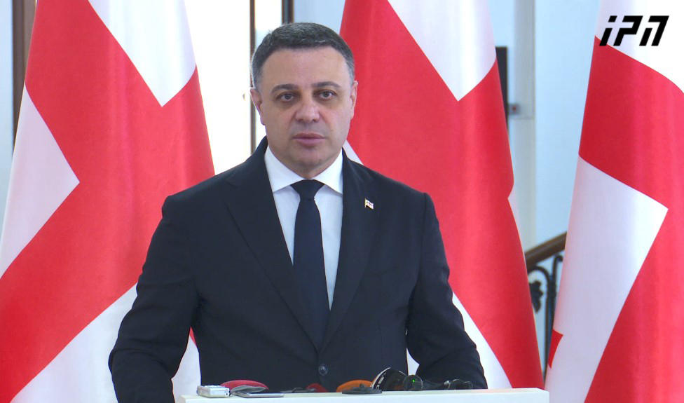 ალუდა ღუდუშაური სავიზო დიალოგზე - ტექნიკური შეხვედ