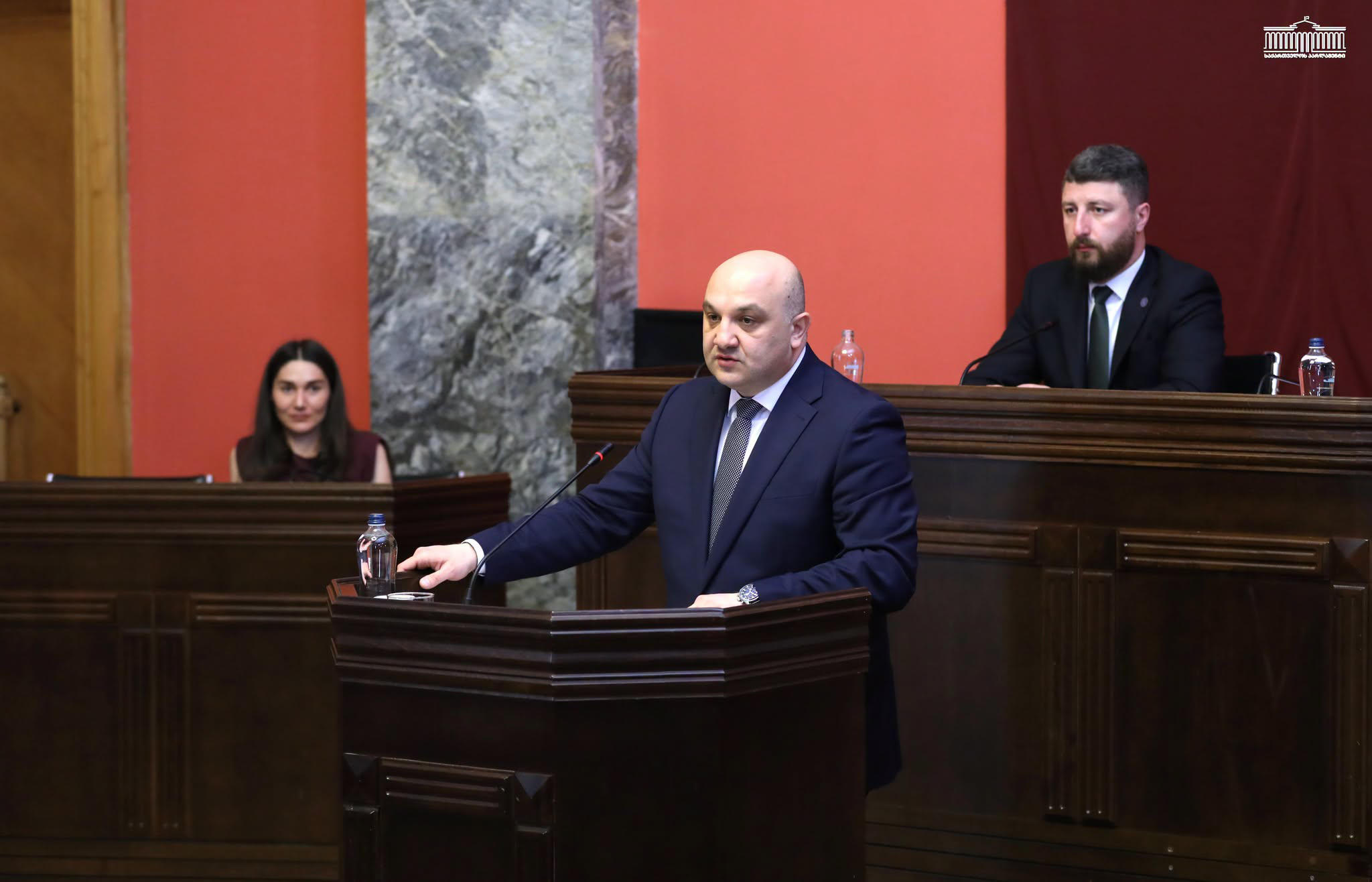 მთავრობა უცხოელთა ერთიანი რეესტრის შექმნას გეგმავს
